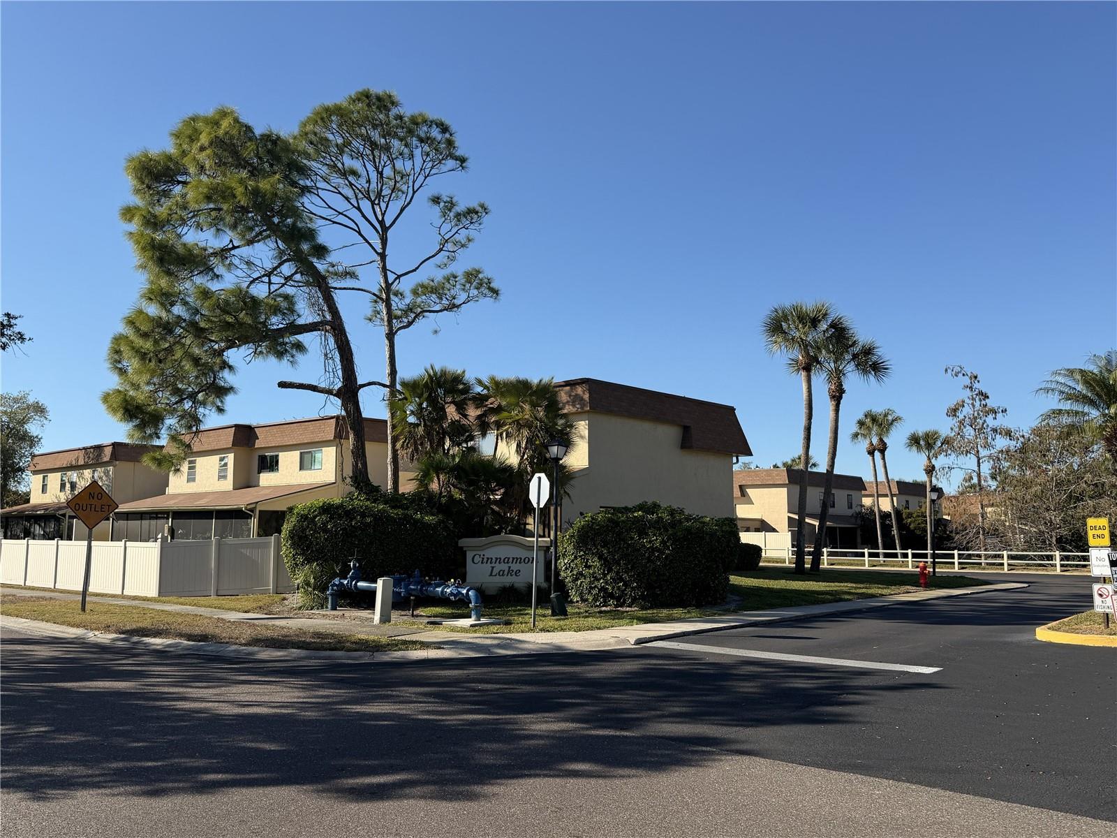 CINNAMON LAKE - Residential