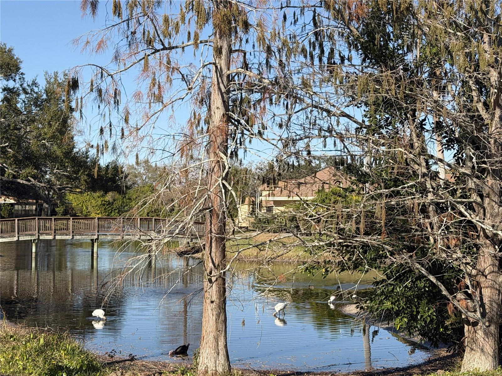 CINNAMON LAKE - Residential