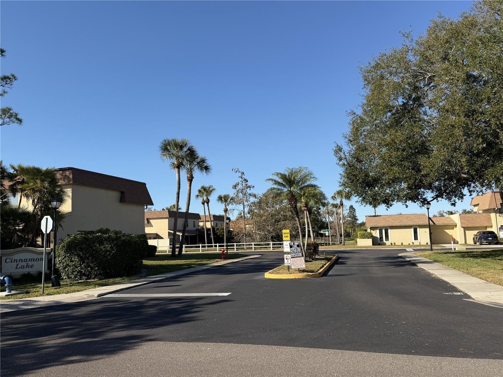 CINNAMON LAKE - Residential