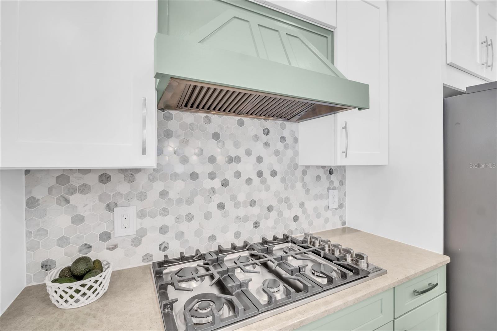 ARBOR CHASE - Residential