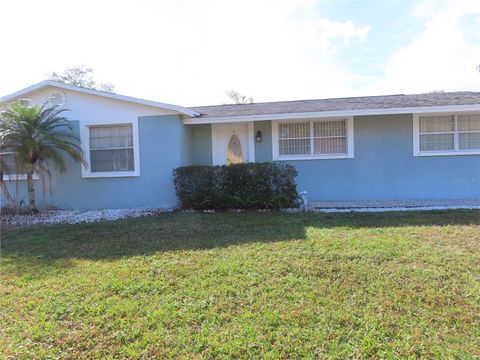 Photo of 19014 Sunlake Boulevard, Lutz, FL 33558 (MLS # L4958380)