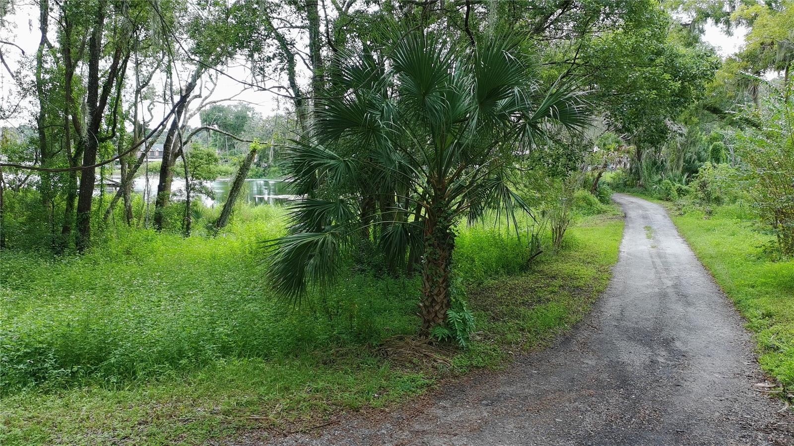 N ORANGE AVENUE
