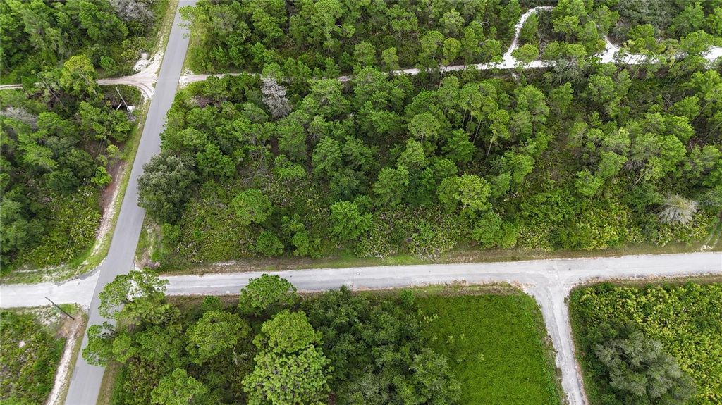 Photo of 961 Fleetway Street, Lake Placid, FL 33852 (MLS # TB8352100)