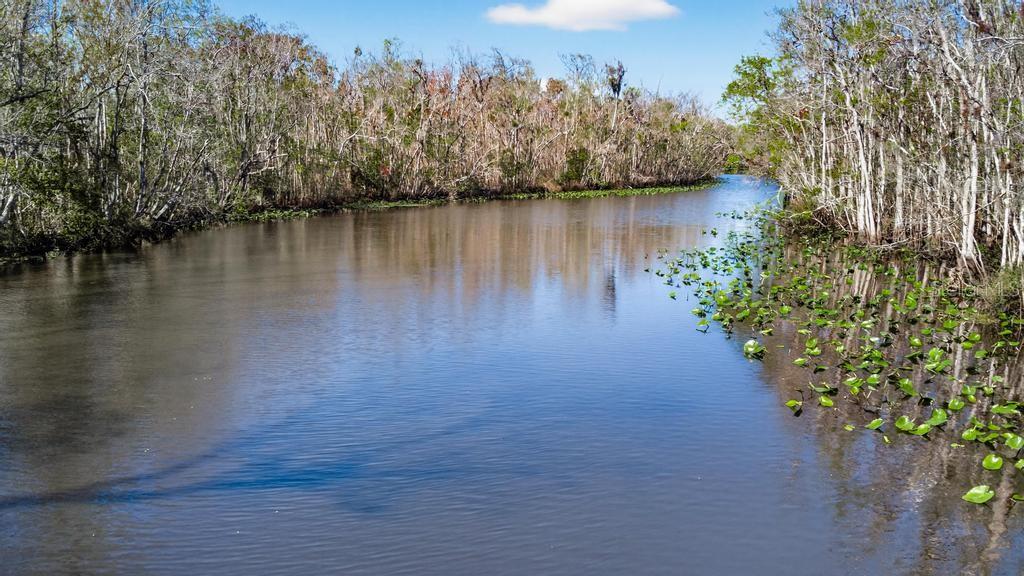 HARDWOOD LNDGS - Residential