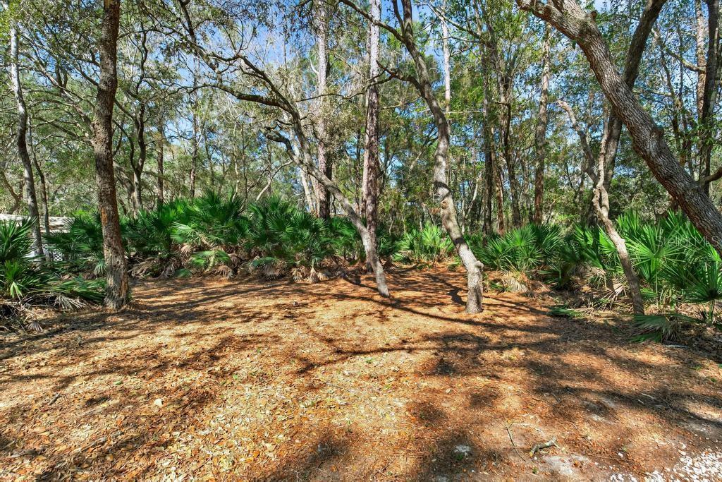 HARDWOOD LNDGS - Residential