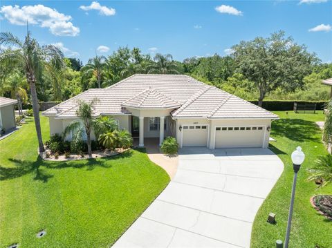 Photo of 6933 Cozumel Court, Land O Lakes, FL 34637 (MLS # TB8386842)