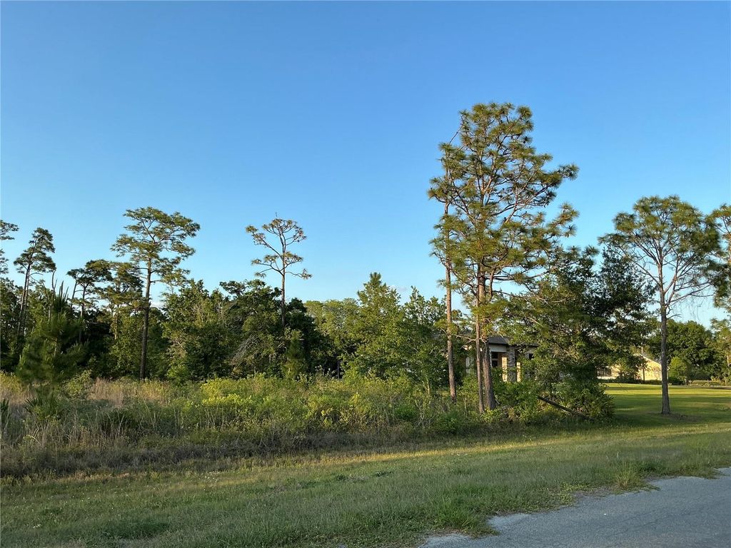 Photo of Reynolds Parkway, Orlando, FL 32833 (MLS # OM725208)