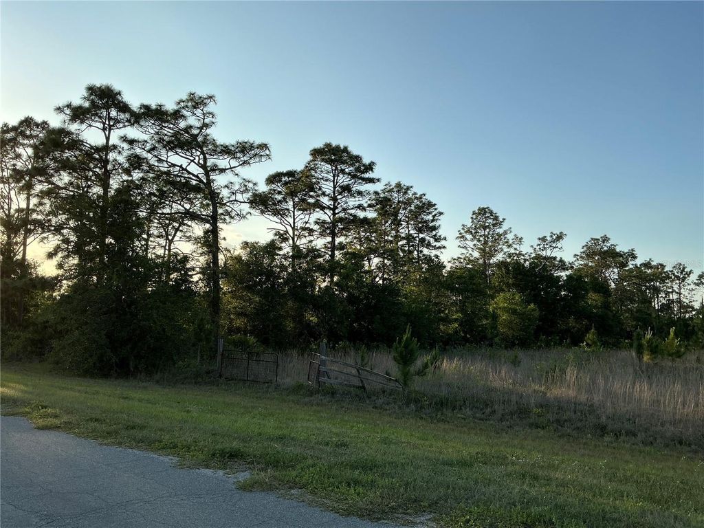 Photo of Reynolds Parkway, Orlando, FL 32833 (MLS # OM725208)