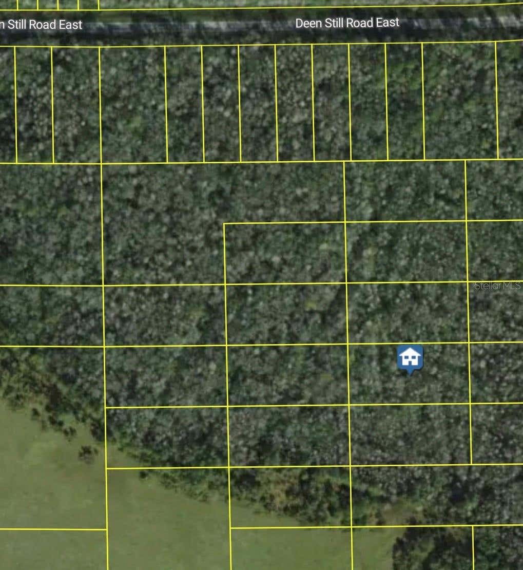 Photo of Deen Still Road E, Polk City, FL 33868 (MLS # L4963678)