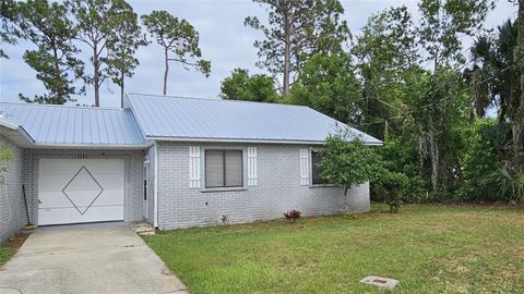 A home in NEW SMYRNA BEACH