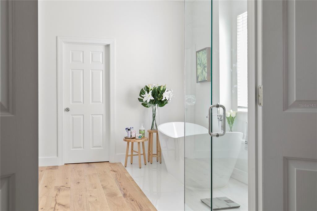 CELEBRATION SOUTH VILLAGE - Residential