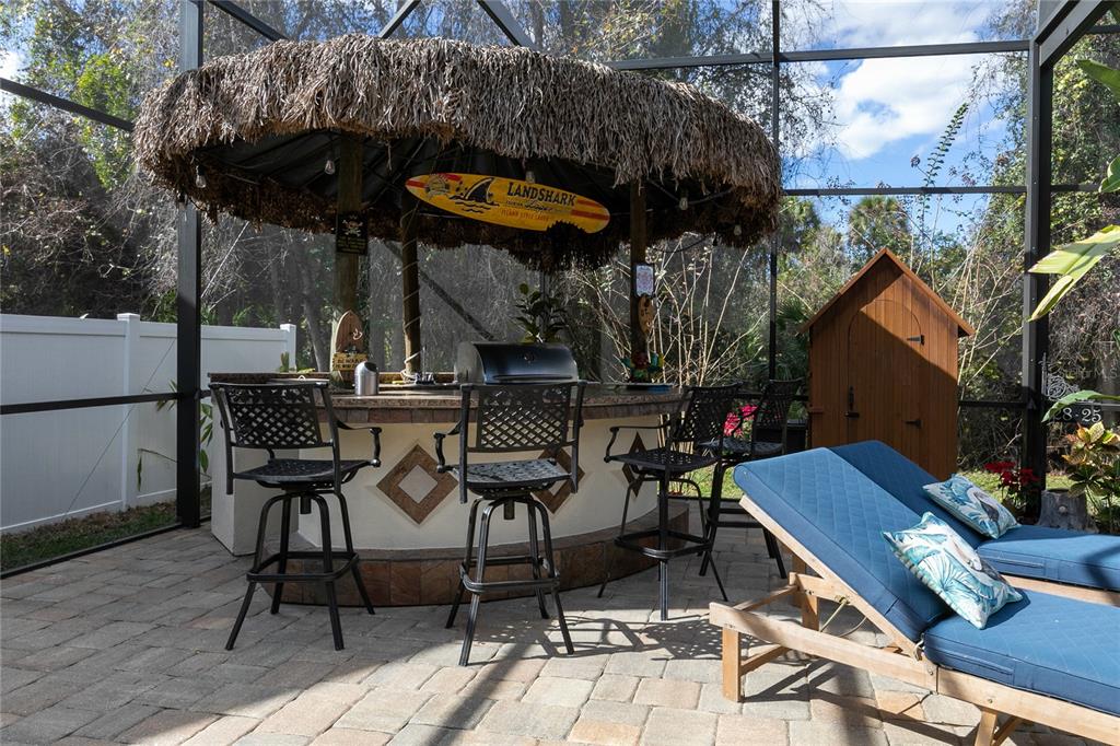 CELEBRATION SOUTH VILLAGE - Residential