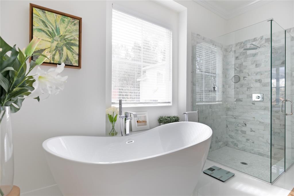 CELEBRATION SOUTH VILLAGE - Residential