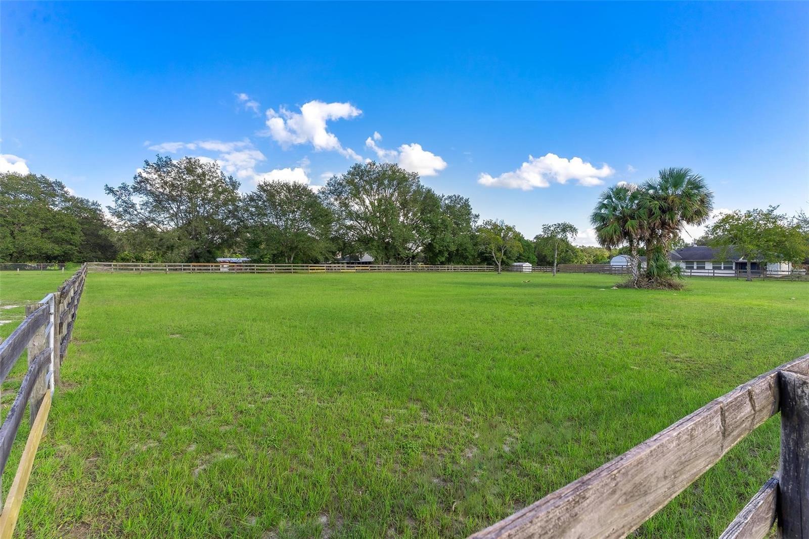 KING GROVE - Residential