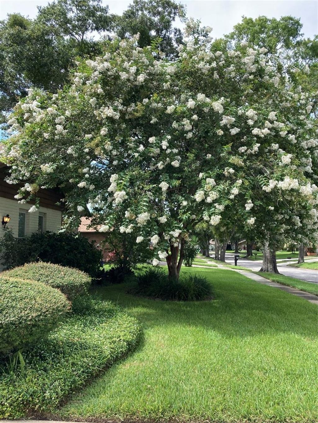 Photo of 2938 Macalpin Drive W, Palm Harbor, FL 34684 (MLS # TB8491531)