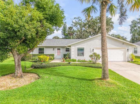 Photo of 2409 Kumquat Drive, Edgewater, FL 32141 (MLS # O6364619)