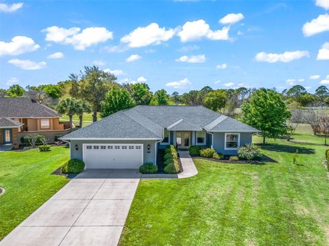 Photo of 1410 Meadow View Way, Lady Lake, FL 32159 (MLS # OM721009)