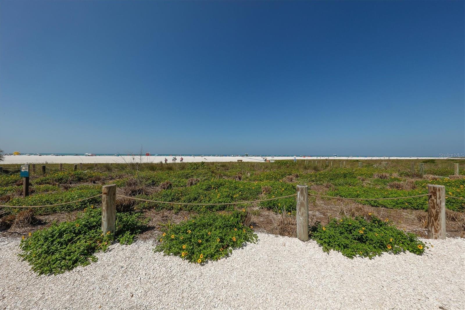 ESPLANADE BY SIESTA KEY - Residential