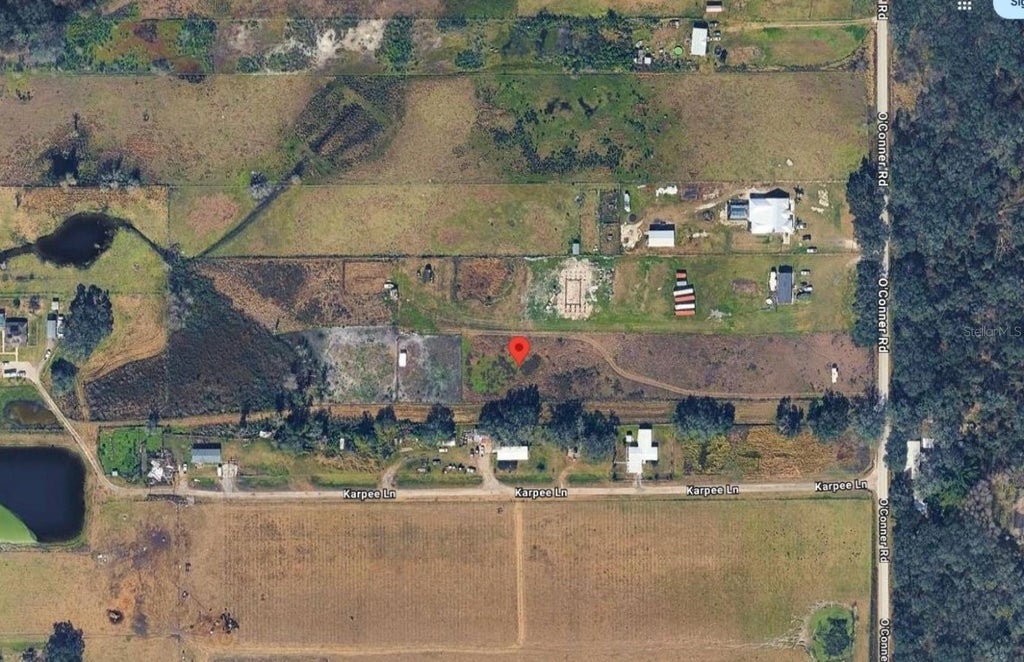 Photo of 13970 O'Conner Rd, Kathleen, FL 33849 (MLS # TB8547397)