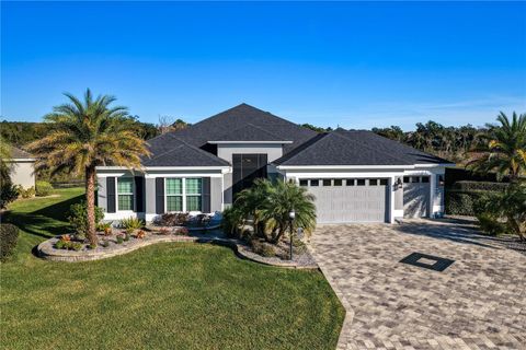 Photo of 679 Krietemeyer Path, The Villages, FL 32163 (MLS # G5105098)