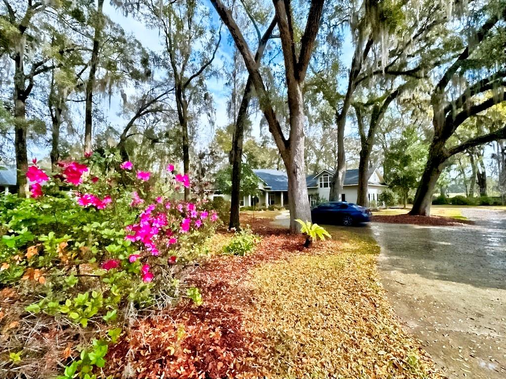 STEEPLECHASE FARMS - Residential
