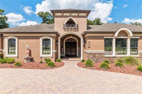 Photo of 2901 SE 28th Lane, Ocala, FL 34471 (MLS # OM710195)