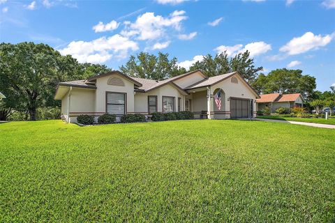 27022 RACQUET CIRCLE LEESBURG FL 34748