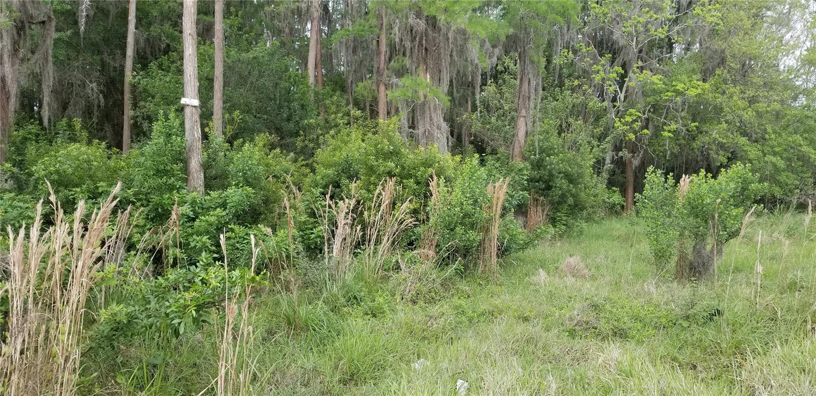 SYLVAN XING PH 2 - Residential Lease