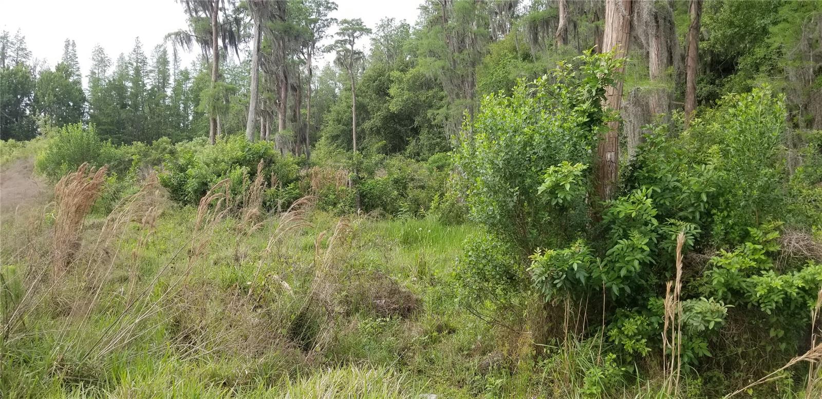 SYLVAN XING PH 2 - Residential Lease