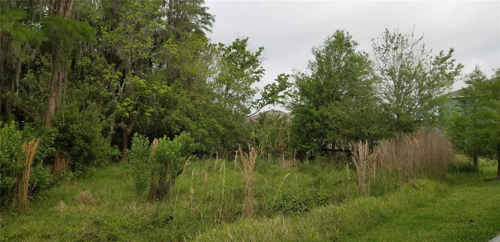 SYLVAN XING PH 2 - Residential Lease