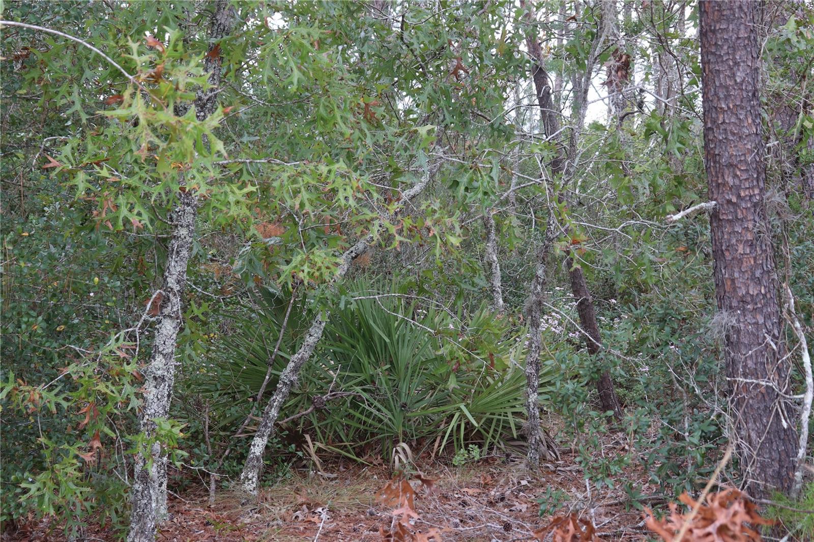 GLENDALE ACRES UNREC - Land