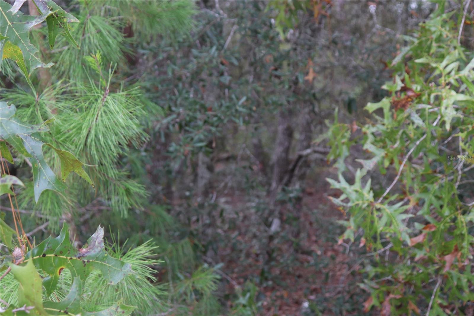 GLENDALE ACRES UNREC - Land