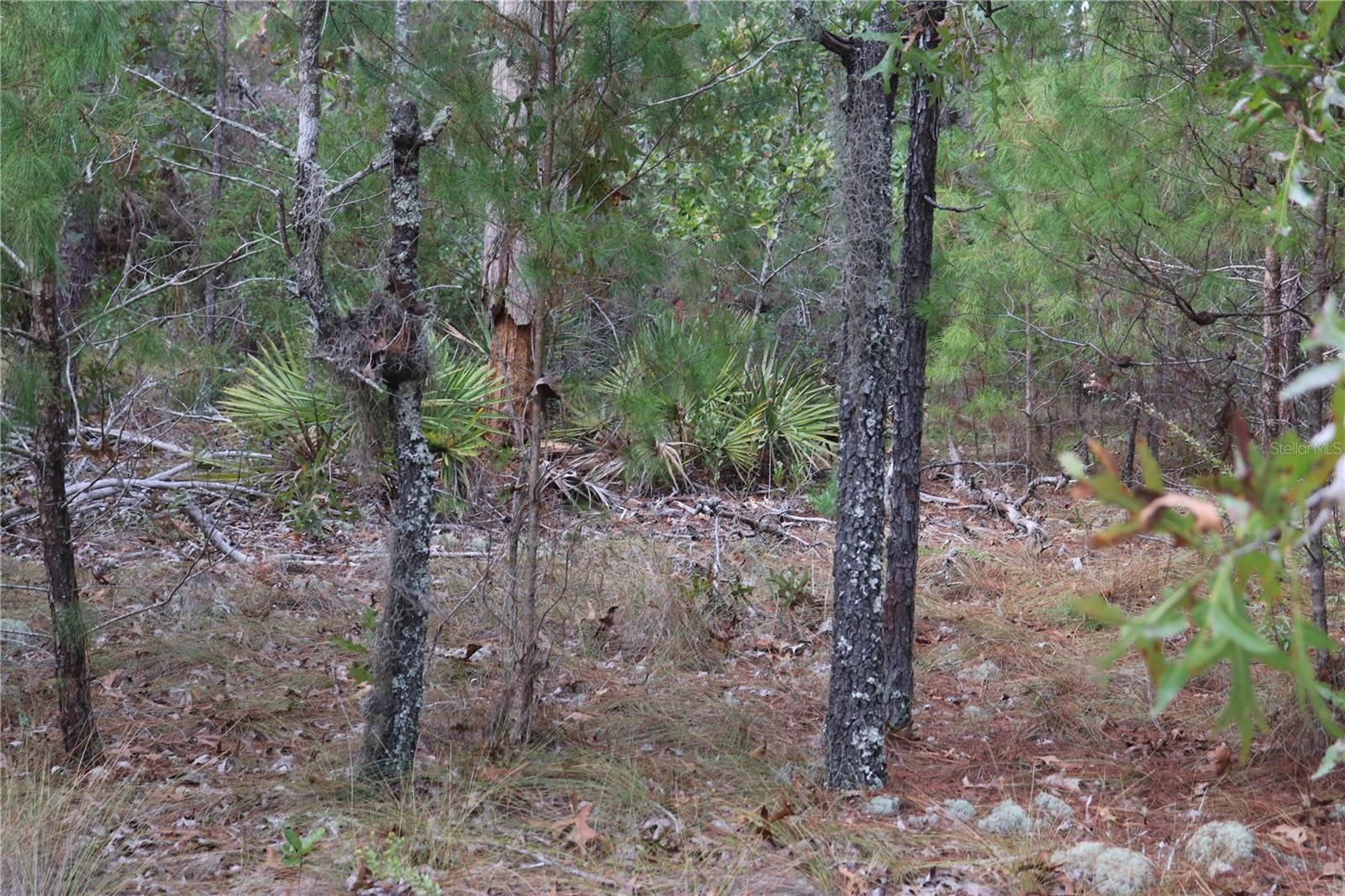 GLENDALE ACRES UNREC - Land