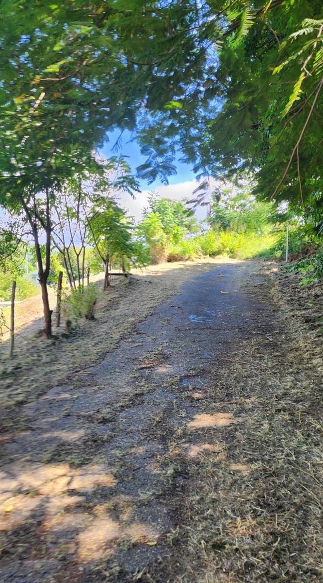 CALVACHE - Residential