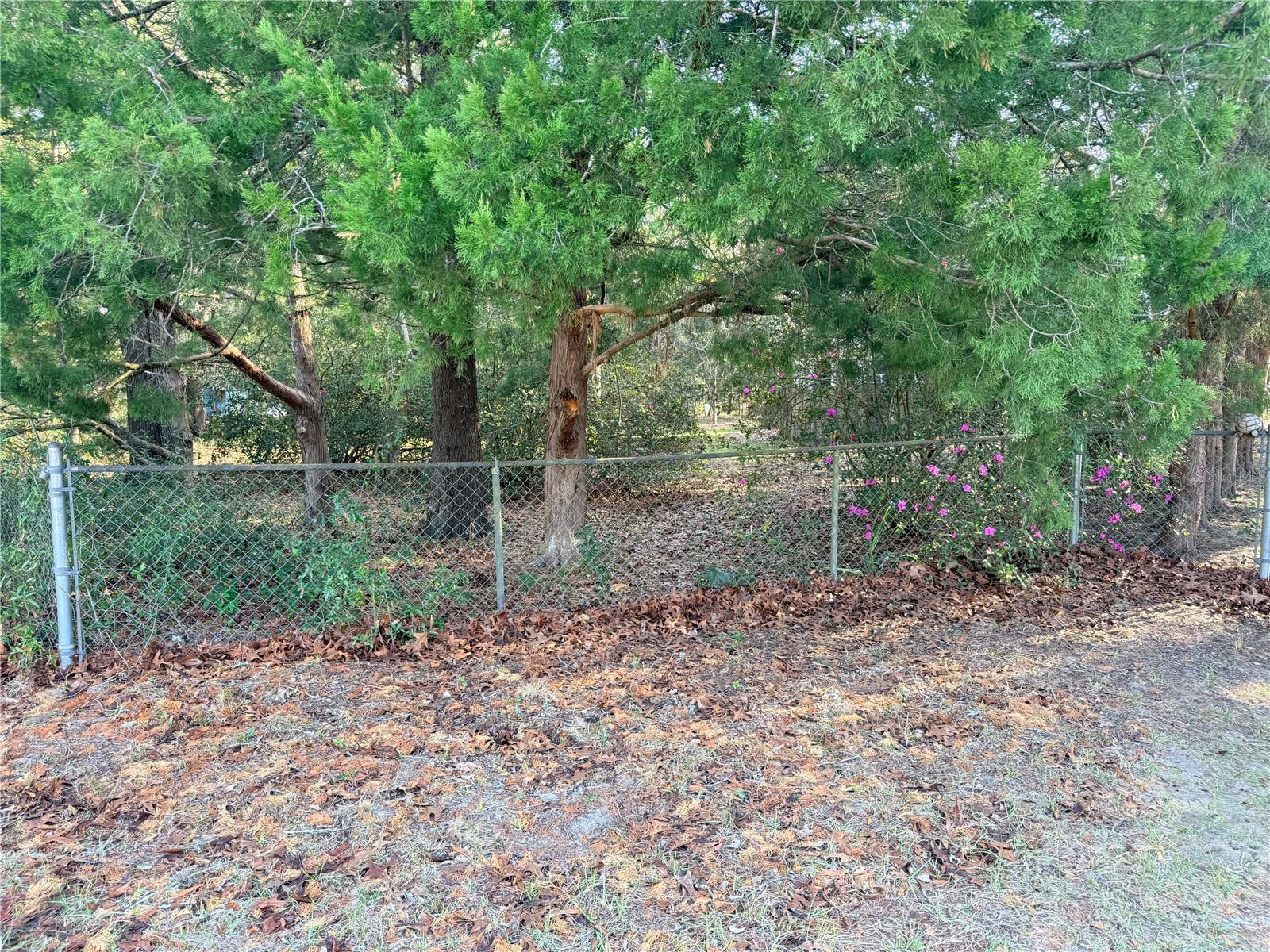 OCALA PARK RANCHETTES - Land