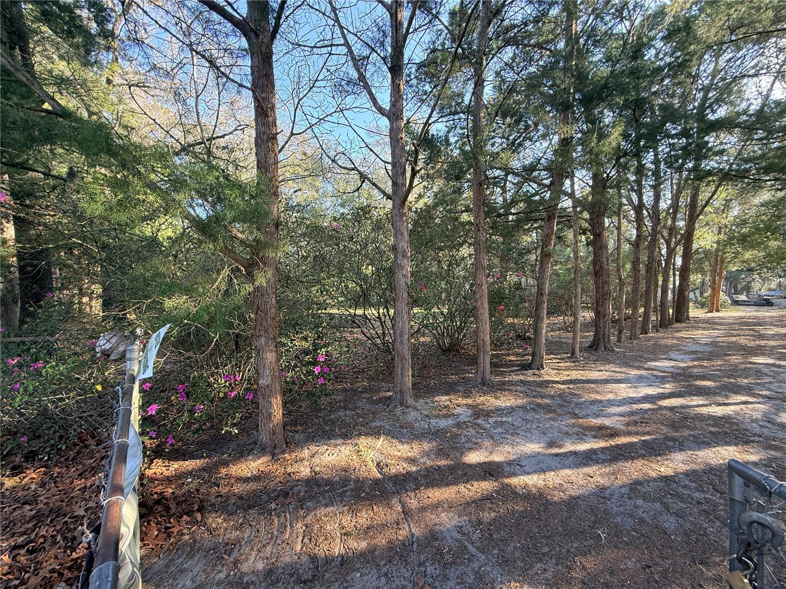 OCALA PARK RANCHETTES - Land