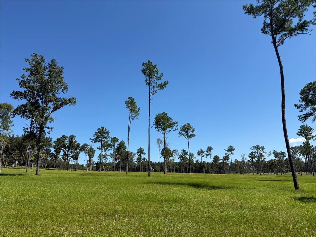 Photo of 5 NW 193rd St, Micanopy, FL 32667 (MLS # OM711263)