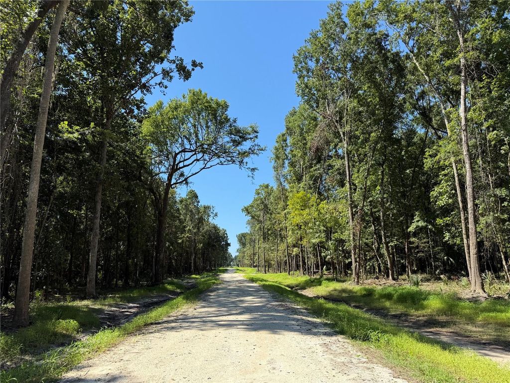 Photo of 5 NW 193rd St, Micanopy, FL 32667 (MLS # OM711263)