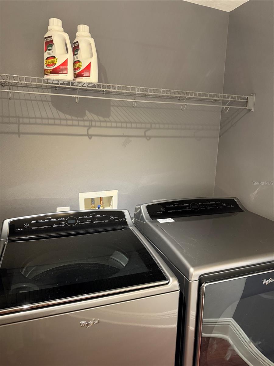 ALINARI - Residential Lease