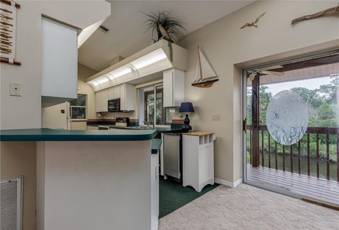 Tiny photo for 12390 W Standish Dr, Homosassa, FL 34448 (MLS # TB8398854)