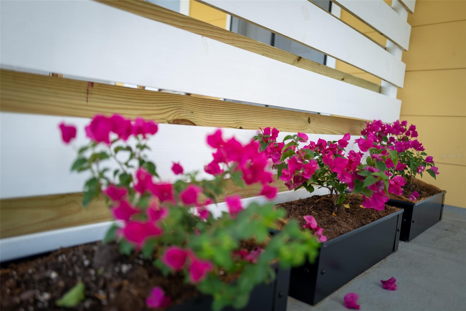 BAYBORO - Residential Income