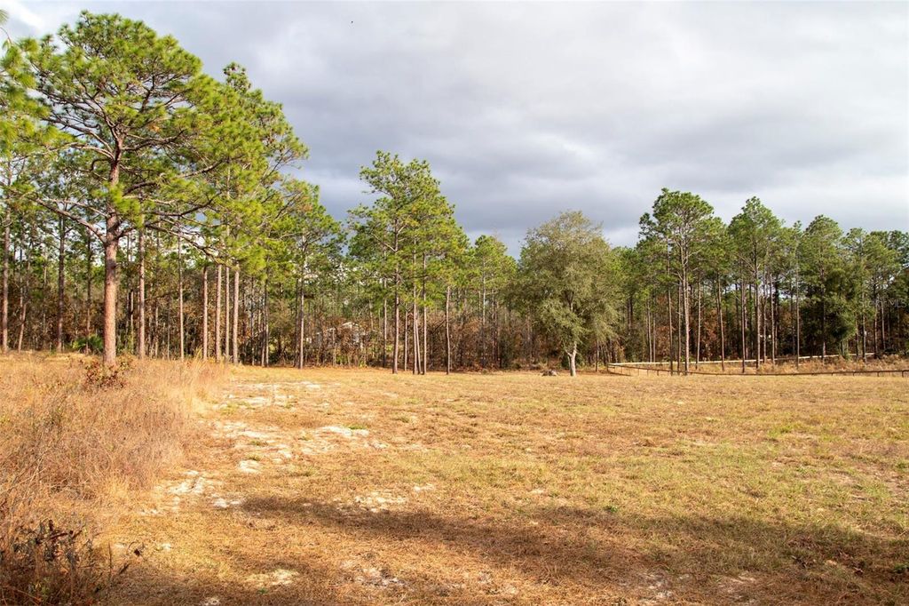 Photo of 4 SW 129th Terrace Road, Ocala, FL 34481 (MLS # G5105429)