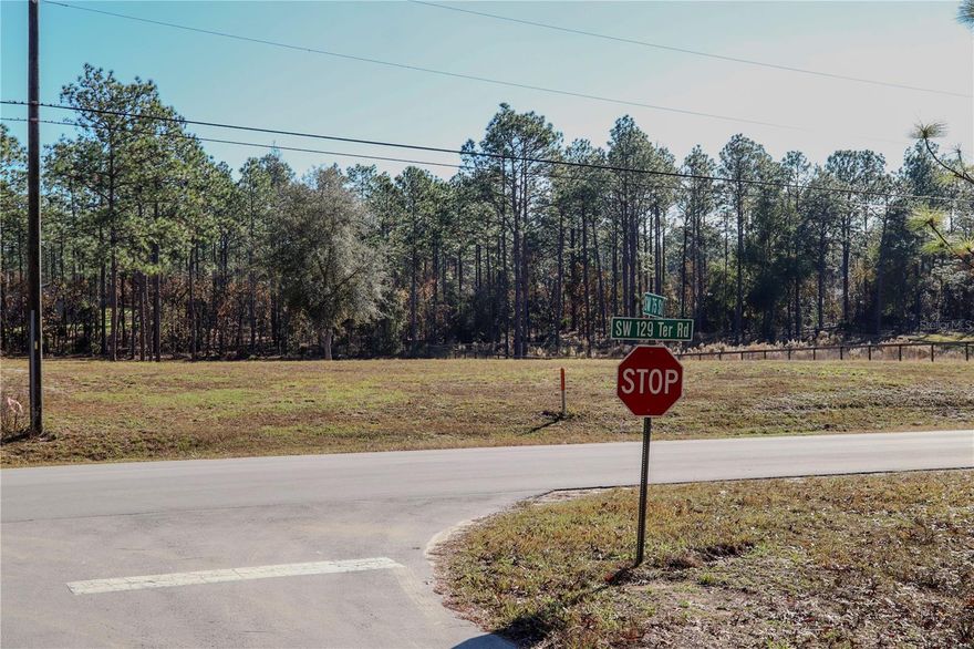 The property has been cleared and sits on a paved road, with an electrical pole at the property line. Rolling Hills continues to see new construction of single-family homes in the area. This 1.14-acre parcel is located in Rolling Hills Unit 2 and has approximate dimensions of 165 ft x 300 ft.