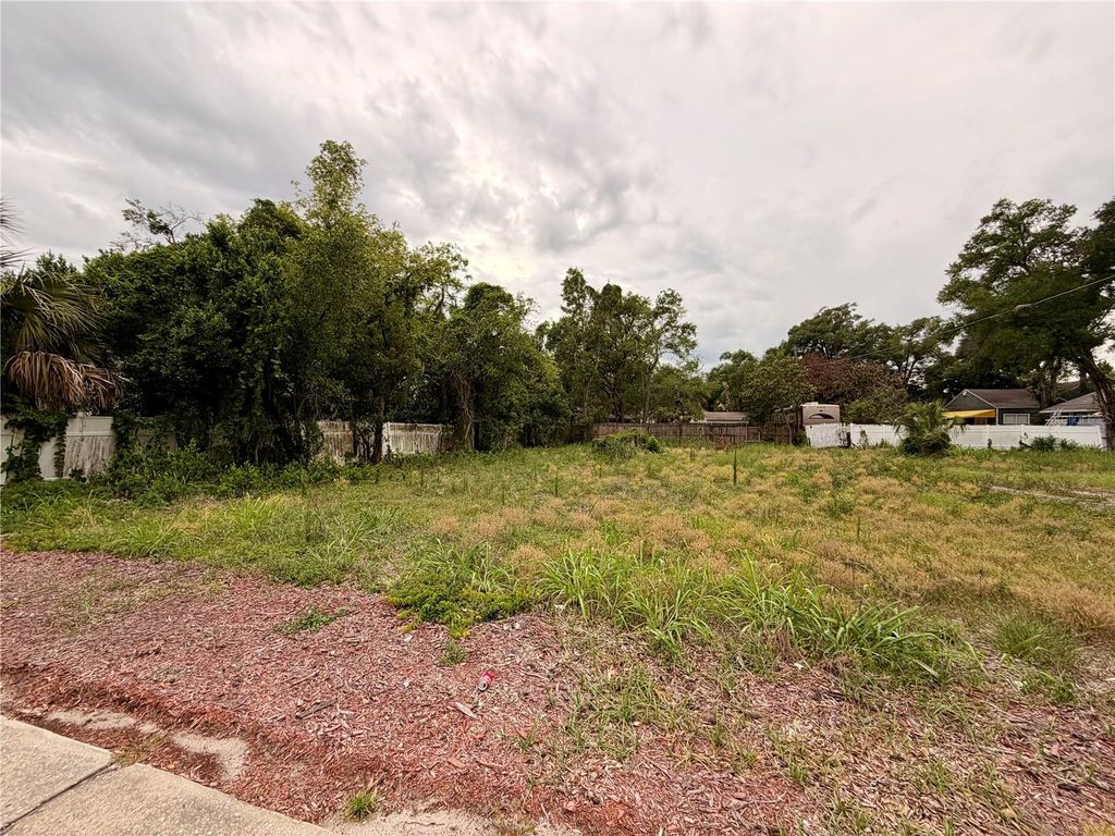 Photo of 3206 N Tampa Street, Tampa, FL 33603 (MLS # TB8517315)