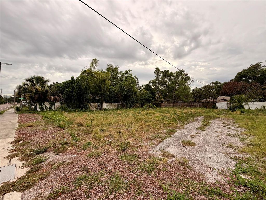 Photo of 3206 N Tampa Street, Tampa, FL 33603 (MLS # TB8517315)