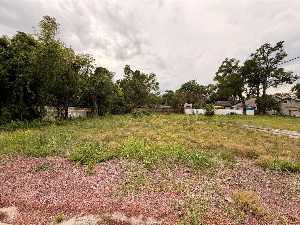 Photo of 3206 N Tampa Street, Tampa, FL 33603 (MLS # TB8517315)