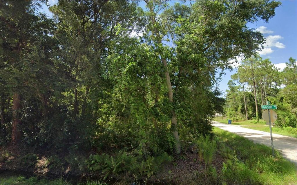 Photo of Unassigned 10th Avenue, Deland, FL 32724 (MLS # TB8470146)
