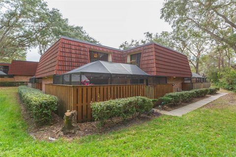 A home in PALM HARBOR