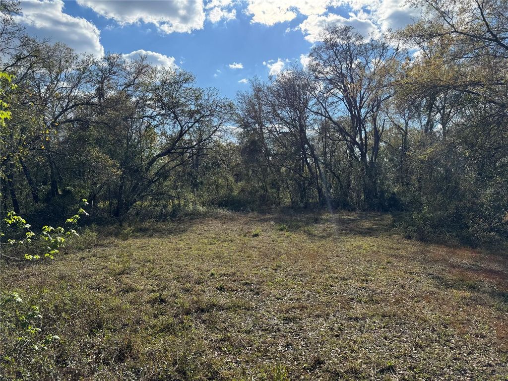 listing image 48
