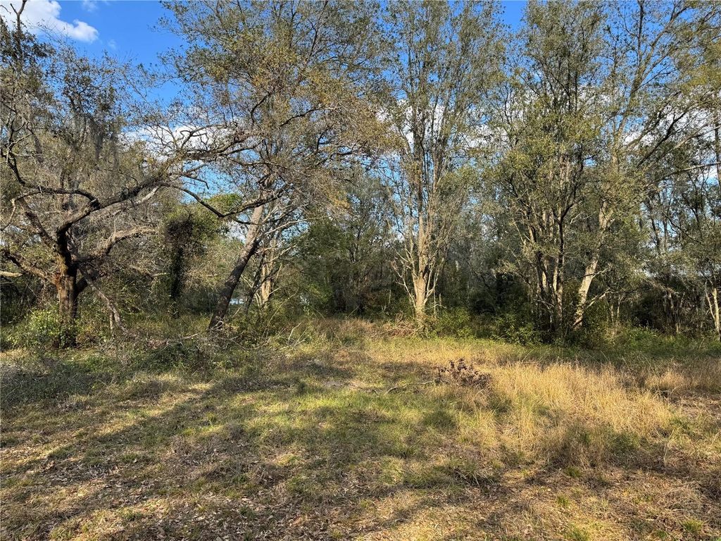 listing image 26